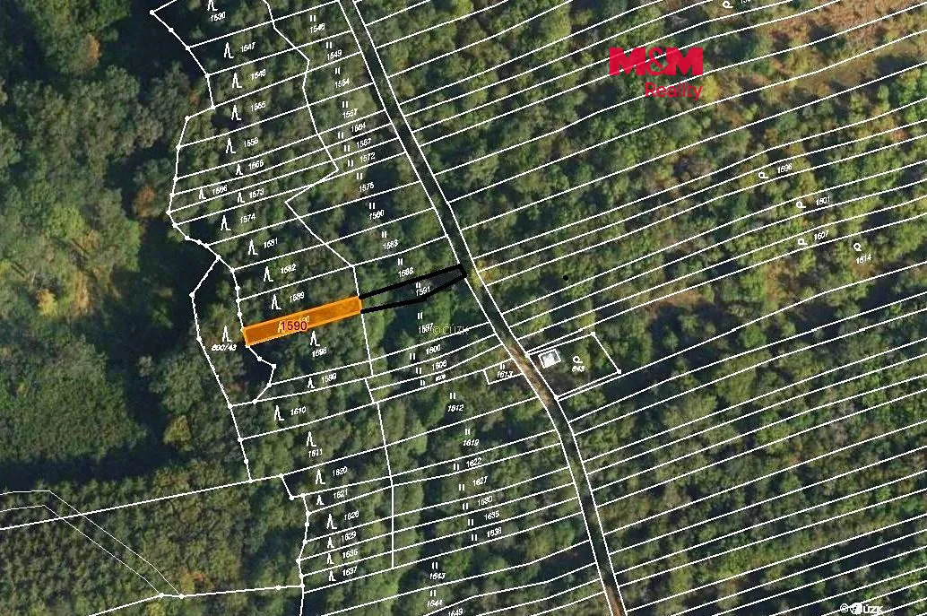 Prodej lesa 310 m²